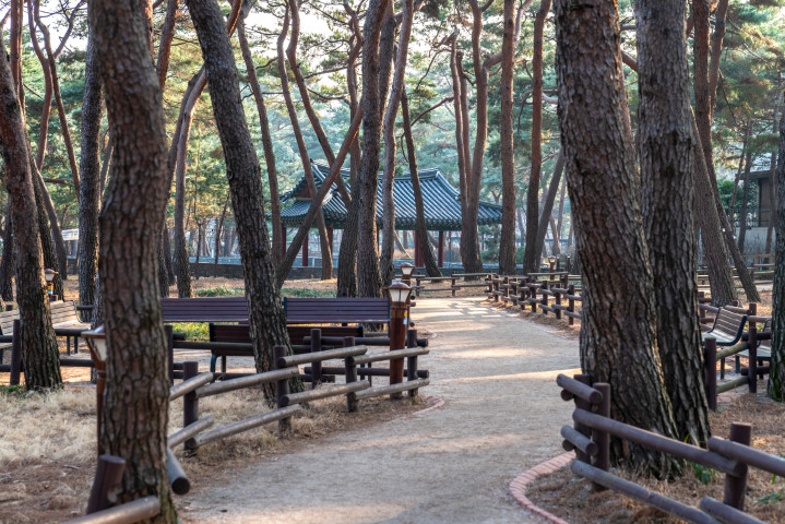 (3-2) 솔밭근린공원.jpg