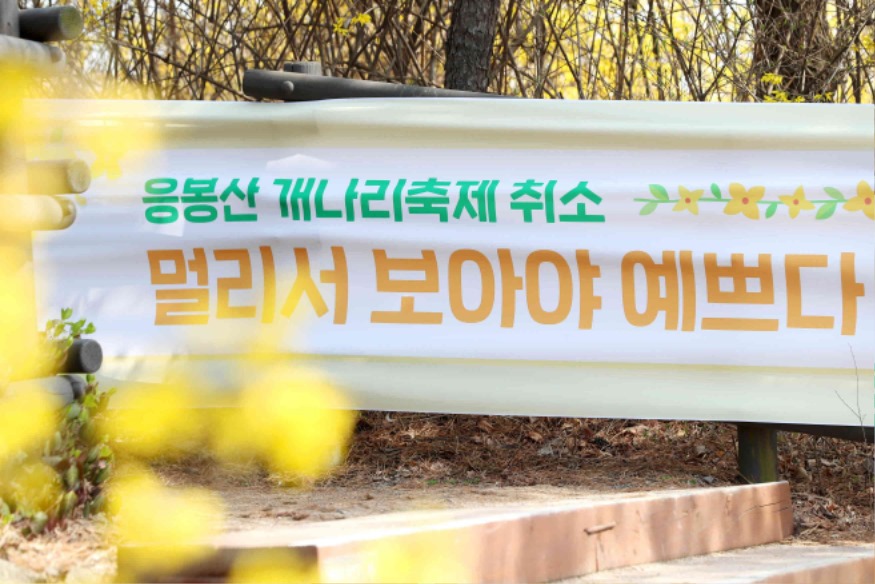 0326 응봉산 개나리축제 취소 현수막(1).jpg