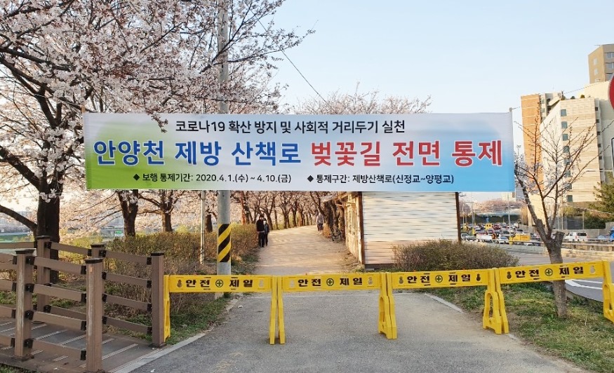 안양천 봄꽃길 통제 （2）.JPG