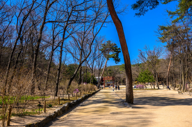 (1-1) 승민과 서연이 만났던 정릉 초입 숲길.jpg