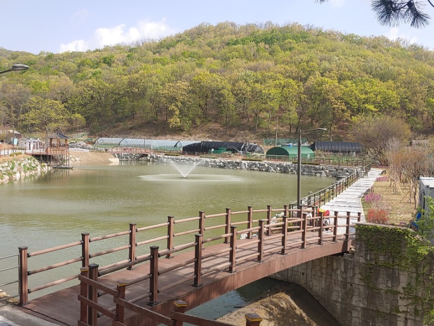 0422 구리시, 확바뀐 백교저수지 ‘쾌적한 녹지공간’ 탈바꿈.jpg