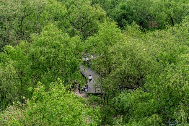 (4-2)영등포구_샛강생태공원 옆 자전거길_샛강다리에서 본 샛강생태공원.jpg