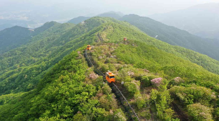 대봉산 모노레일17.jpg