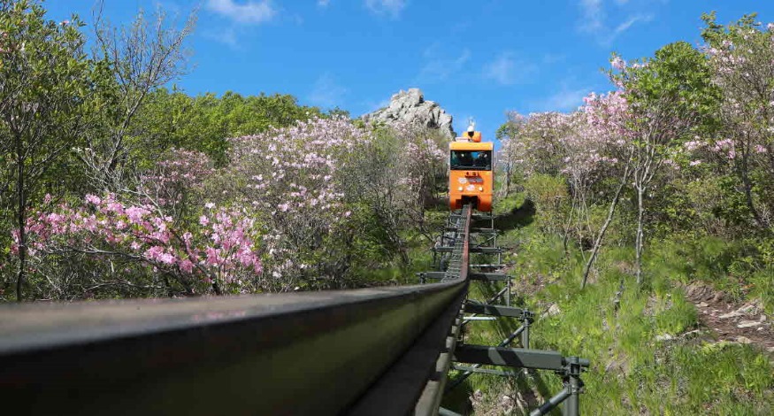대봉산휴양밸리 모노레일 시운전.jpg