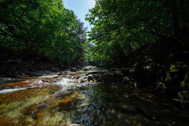 경기관광공사_백운계곡 01.jpg