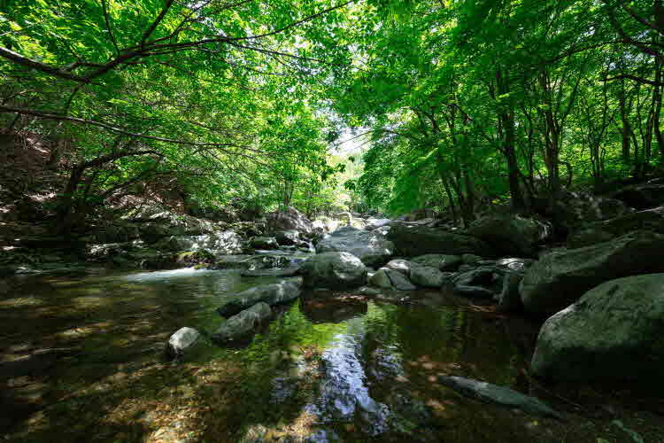 경기관광공사_어비계곡 02.jpg