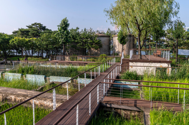 (1-2) 선유도공원_수질정화원_수생식물들이 식재된 계단식 수조를 거치면서 물이 정화되는 과정을 관찰할 수 있다..jpg