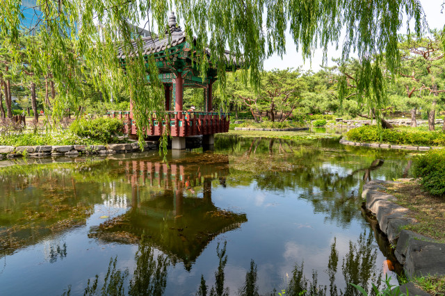 (2-2) 여의도공원_한국전통의 숲_구역의 지당연못과 사모정. 지당연못에 잉어 떼가 산다..jpg