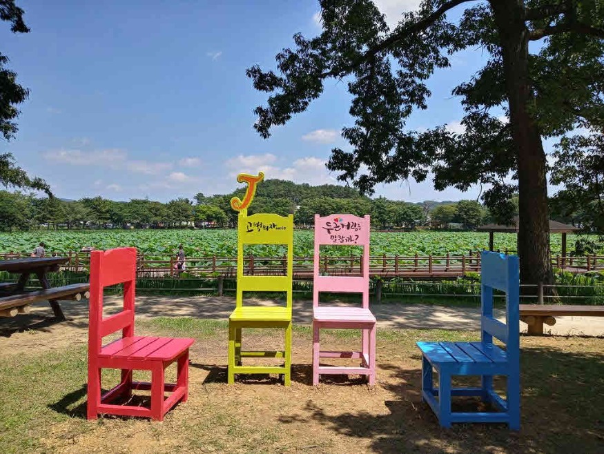 강주연못공원+연꽃+개화시기에+맞춰+J-포토존+설치(2)_jpg_middle.jpg
