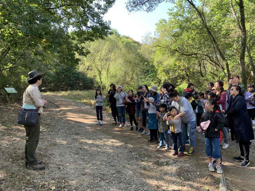 2. (사진_도봉) 2019년 북한산국립공원에서 진행한 ‘건강나누리 캠프’ 숲 체험 모습 (2019년 10월 12일).jpg