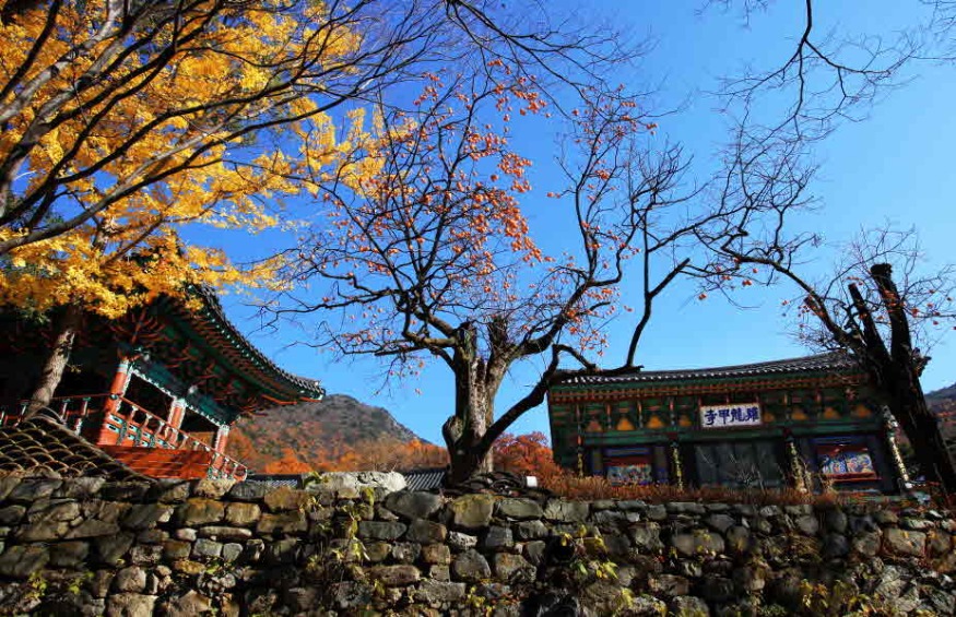 갑사 사진 (1).jpg