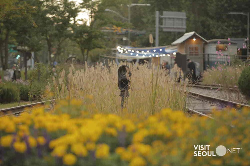 화랑대철도공원.jpg