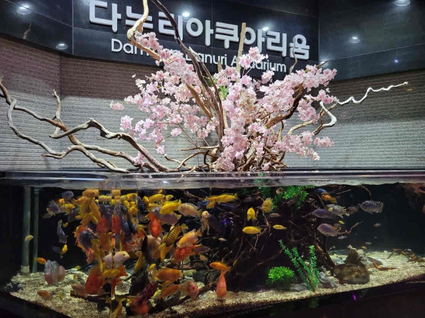 보도1)다누리아쿠아리움2.jpg
