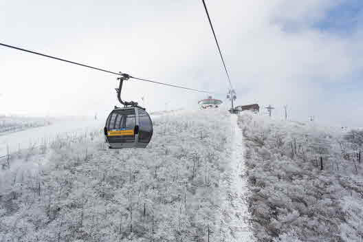 하이원 스키장 전경.jpg