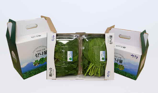 지리산 산청 산나물 꾸러미 시범판매사업 (1).jpg