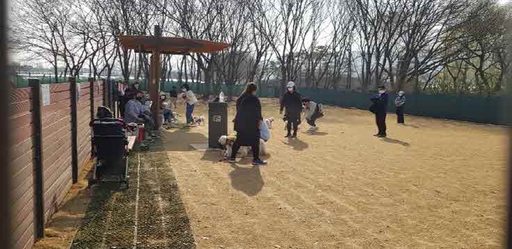 구리시, 장자호수생태공원 반려동물 놀이터 광경.jpg