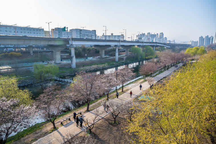 _7-1. 고가다리에서 내려다본 청계천.jpg