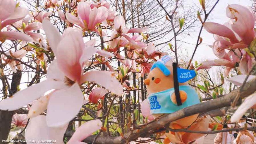 (사진2) 글로벌서울메이트 4월 미션, 영등포구 팸투어.JPG