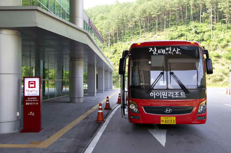 정태영삼 나들이 버스(2).jpg