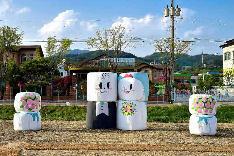 비행장호밀밭&곤포사일리지 포토존 (1).jpg