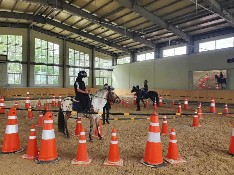 보도1)단양승마장 학생 승마체험 (1).jpg