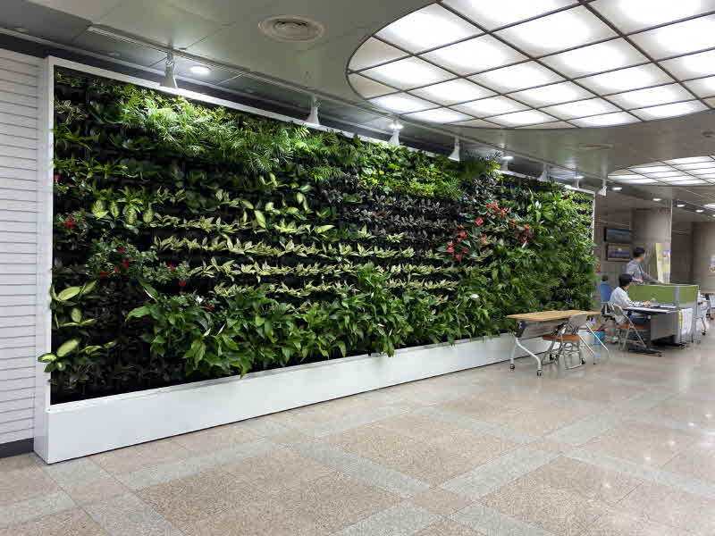 구리시청에, 스마트 가든 설치.jpg