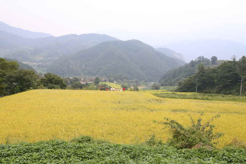 지리산 둘레길(자료사진).JPG