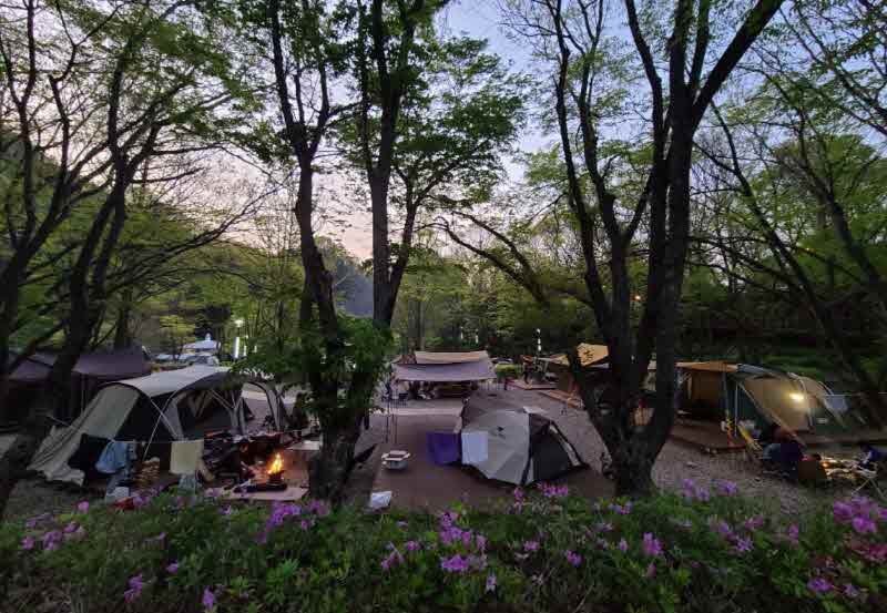 보도1)다리안 캠핑장3.jpg