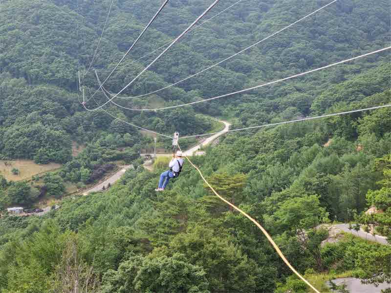 대봉산휴양밸리 짚라인 안전 강화.jpg