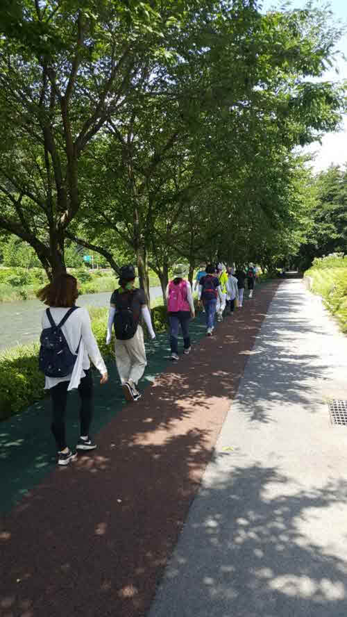 3. 관련 사진(걷기).jpg