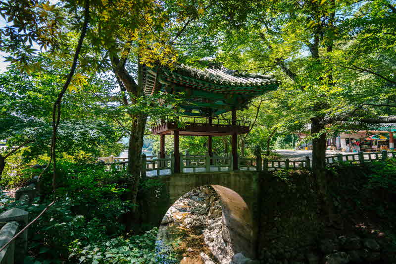 국내여행상품- 천은사.jpg