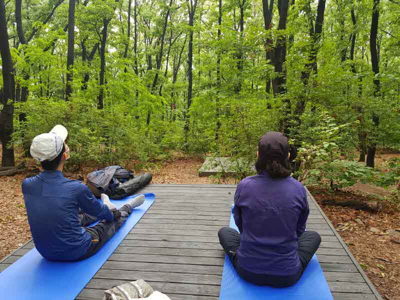 치유의 숲 프로그램 체험 모습.jpg