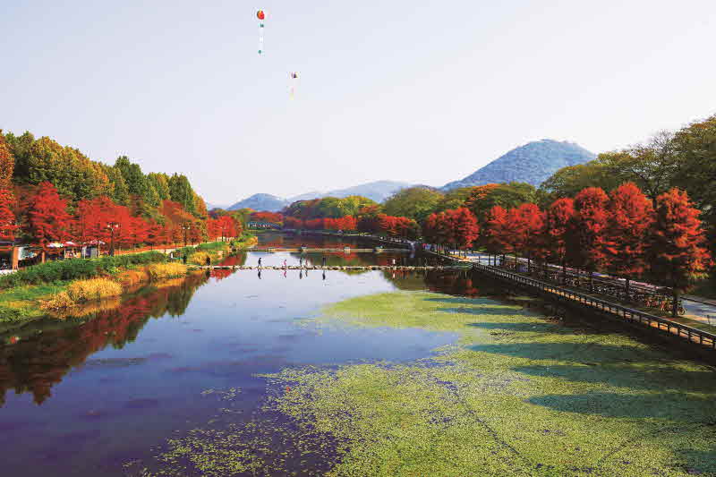 가을여행 책자- 담양 관방제의추경.jpg