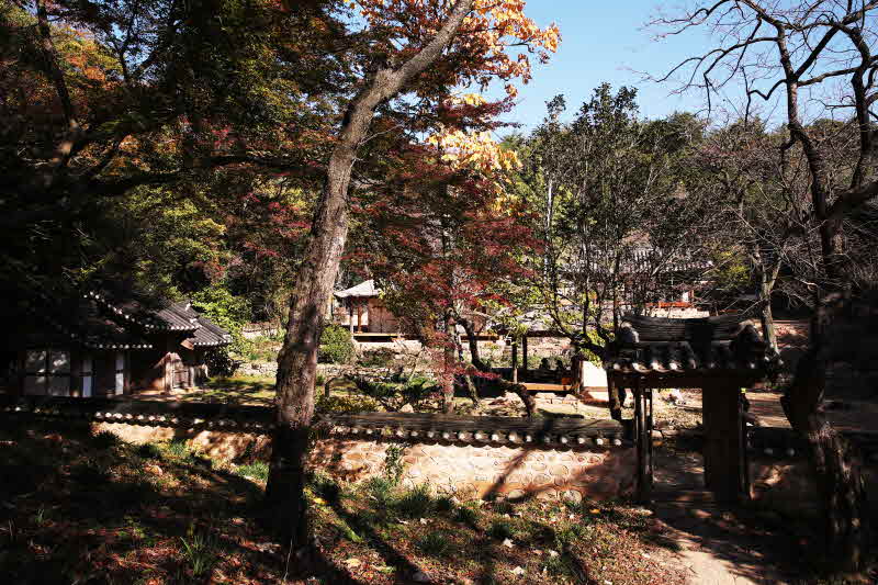 비대면관광지 25선- 강진 백운동원림(가을).JPG