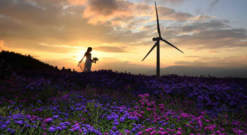 8. 거창 감악산 꽃&별 여행 개장식 열려 (2).jpg