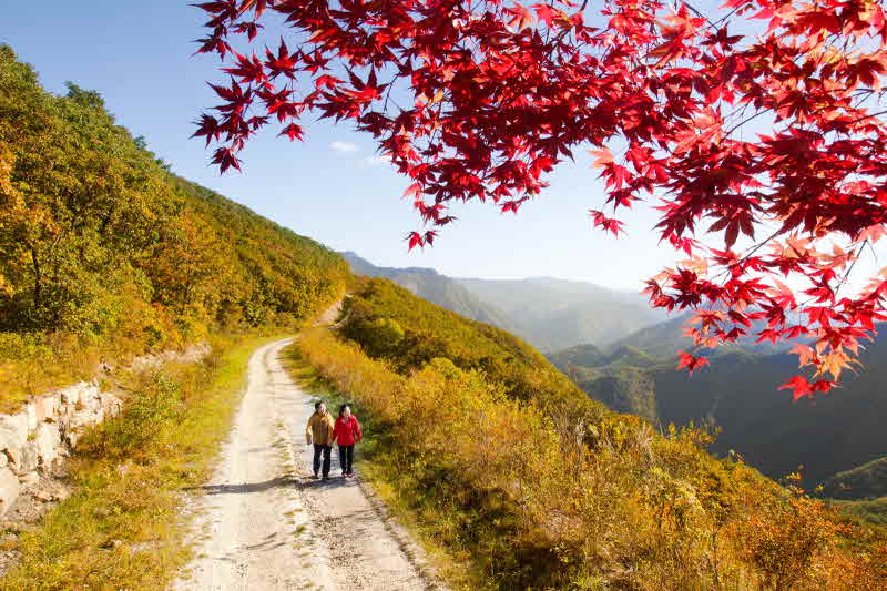 하이원리조트 하늘길-운탄고도.JPG