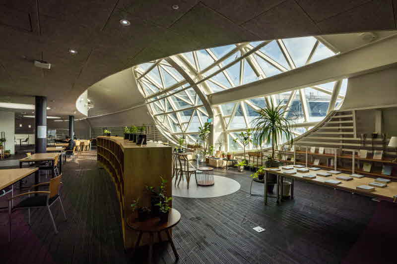 1-3. 뚝섬한강공원 서울생각마루에서 무료로 이용할 수 있는 플랜테리어 휴식 공간.JPG