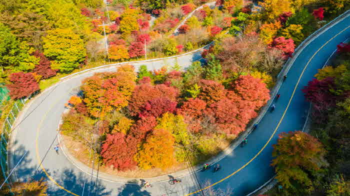 꾸미기_보도1)지난 26일 촬영한 가곡 보발재4 (2).jpg