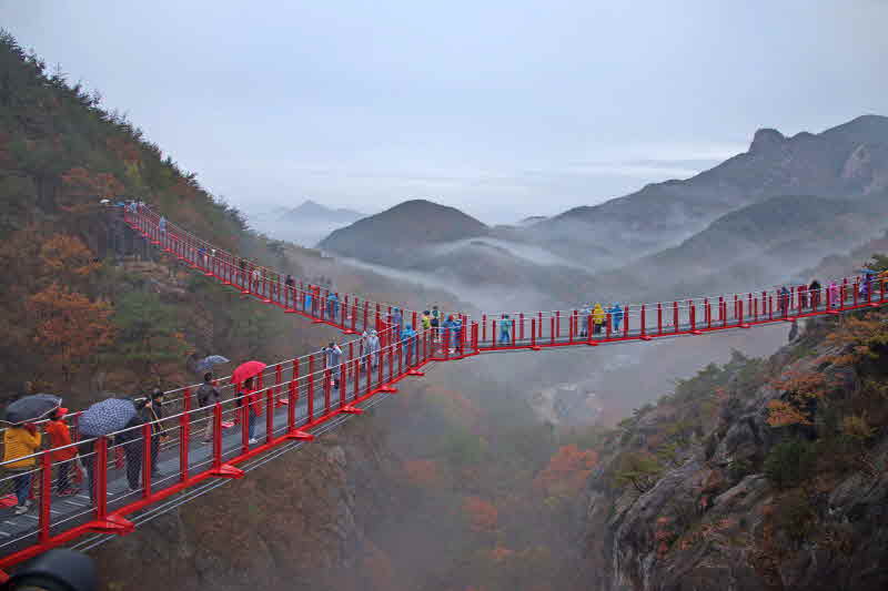10. 거창 항노화힐링랜드 명품 산림관광지로 부상.jpg