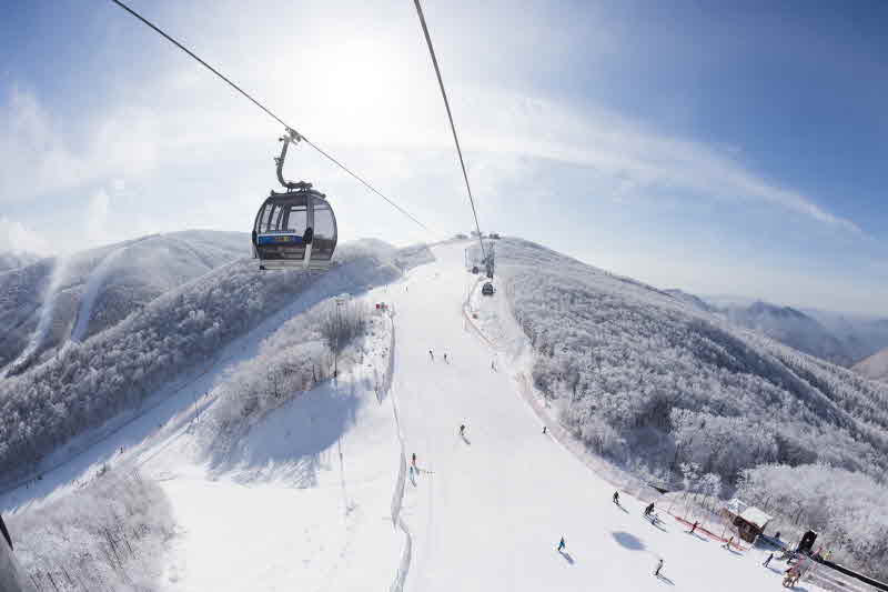 하이원 스키장 전경.jpg