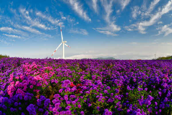 12. 가을감악산.jpg