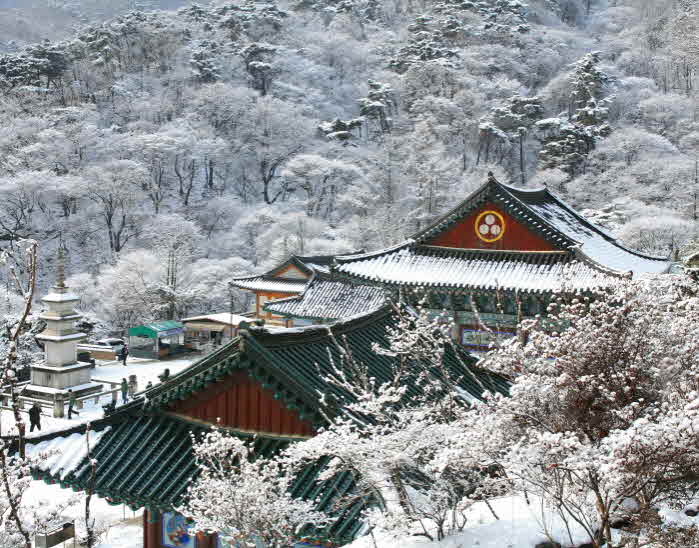 권영진-용문사설경.jpg