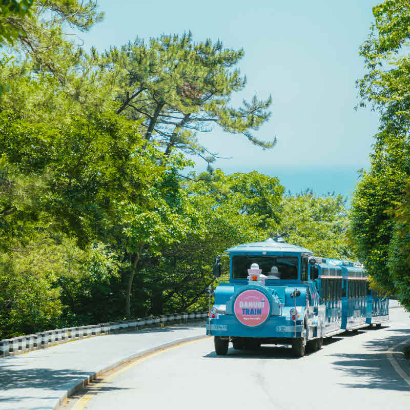 태종대 다누비 열차.jpg