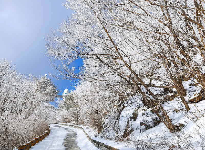 보도1) 지난 2.15 소백산 설경 (1).jpg