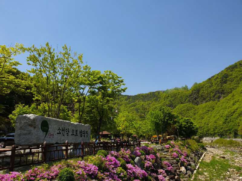보도1)소선암오토캠핑장2 (40).jpg