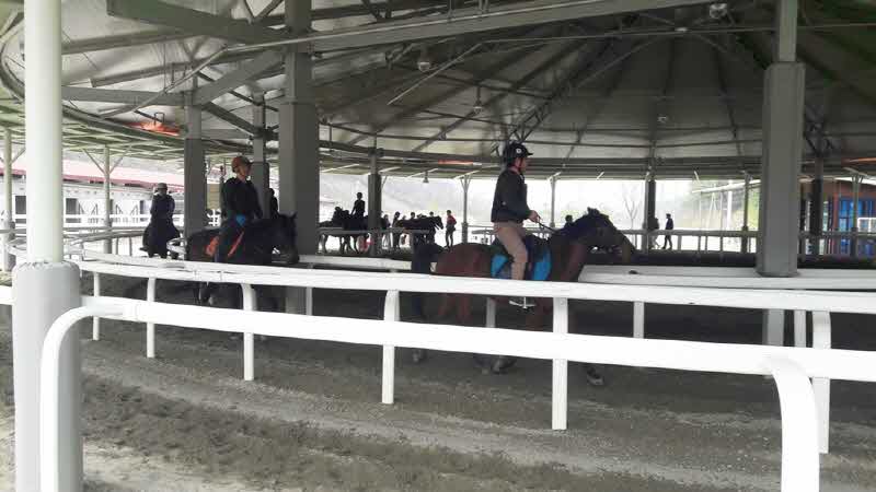 0304+함안군승마공원+퇴근+후+승마체험으로+스트레스+날려요+!1.jpg.middle.jpg