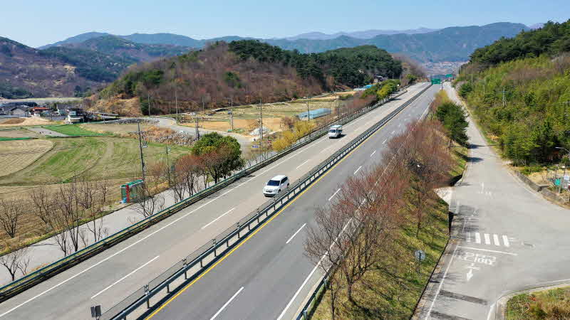 산청군 국도3호선 산수유 살구나무 미세먼지 차단 숲.JPG