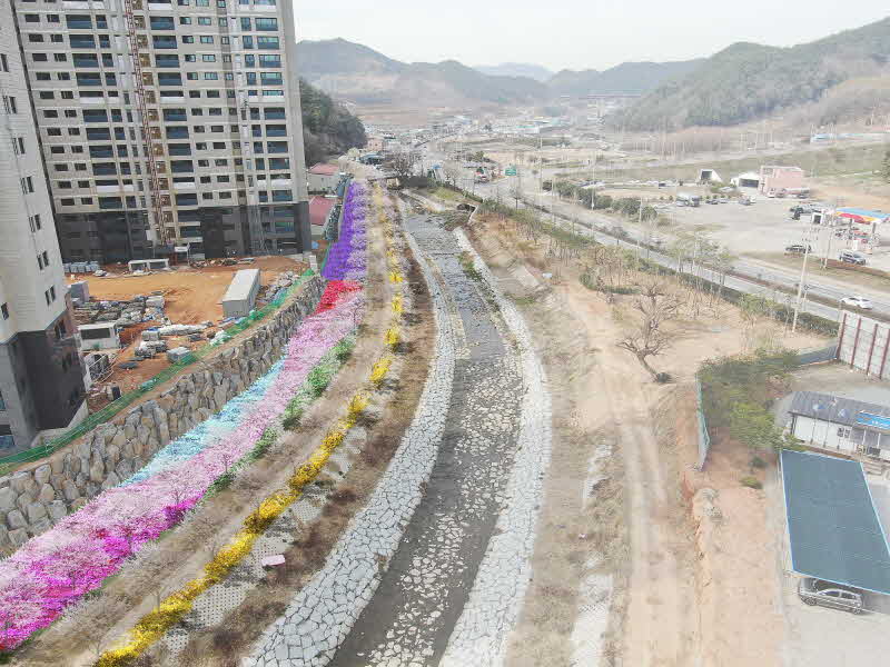 광양시_도심권벚꽃길조성으로새로운관광자원기대-녹지과1.jpg