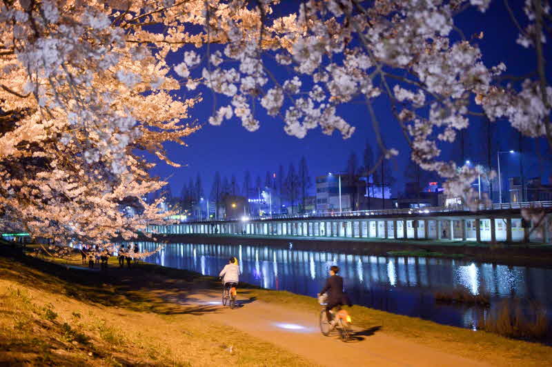 1. 동천 야간(온누리자전거).jpg