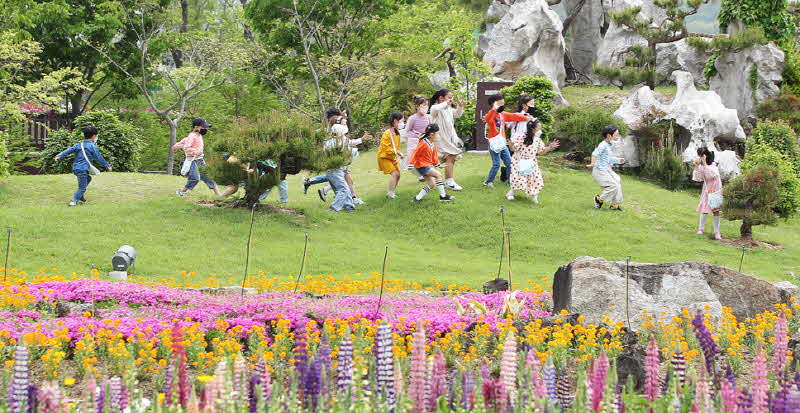 보도사진(2)-함평군, 제24회 함평나비대축제 성공 기원 나비날리기 행사 개최.jpg